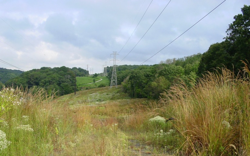 Right-of-Way Stewardship Council Announces Accreditation Standard